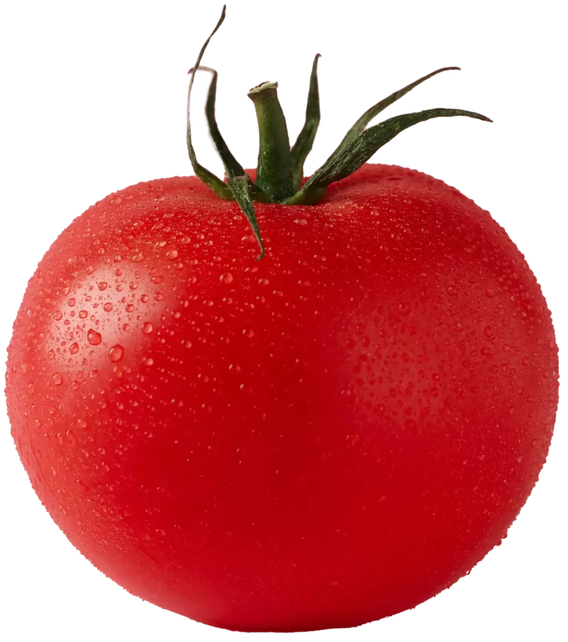 Tomate Frische Tomate aus unserer Pizzeria in Mindelstetten